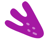 shape